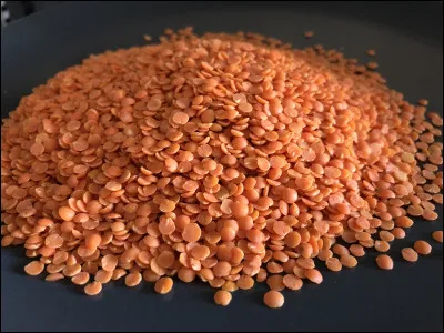 Quel est le nom de cette lentille rose ?