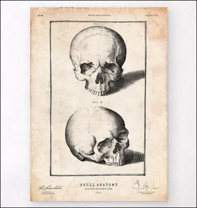 De quoi as-tu peur ? (3/5)