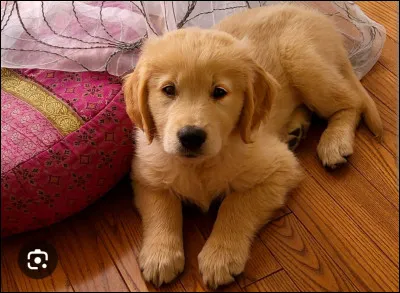 Qui emmènerais-tu avec toi ?