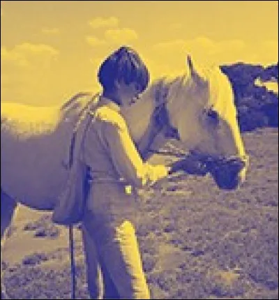 Lequel, de ces films d'Andrzej Wajda, est sorti en 1993 ?