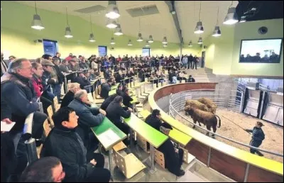 Quel nom porte le café du film de Jean Gehret, en 1947 ?
