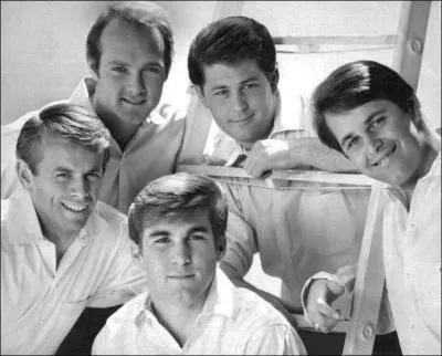 Que veut dire The Beach Boys ?