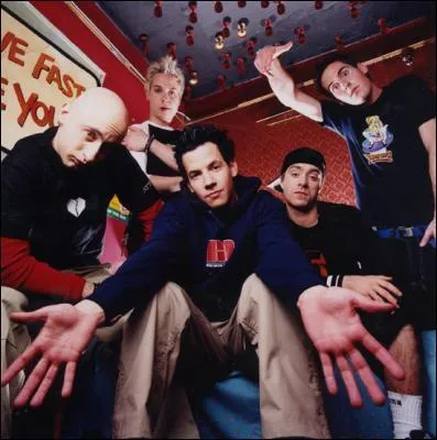 Que veut dire Simple Plan ?