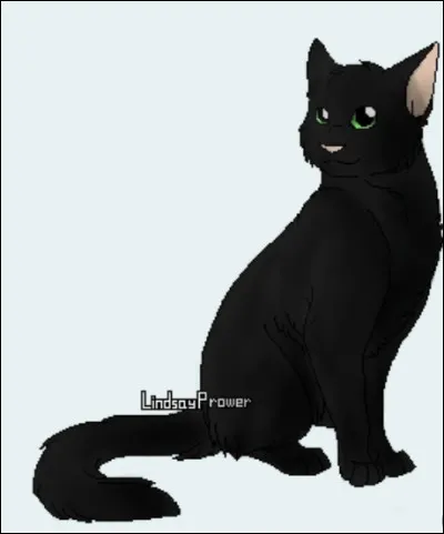 À quel clan appartient Plume dÉclair ?