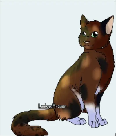 Quel est le genre de Plumage de Grive ?