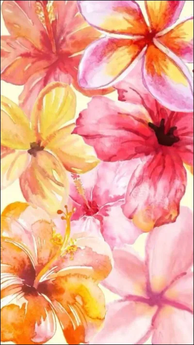 Quelle est ta fleur préférée ?