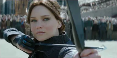 Dans la saga "Hunger Games", quel est le district d'origine de Katniss Everdeen ?