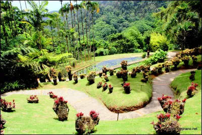 Si nous étions mariés, simplement parce que je vous aime, blottis dans un coin, le printemps n'est pas loin.