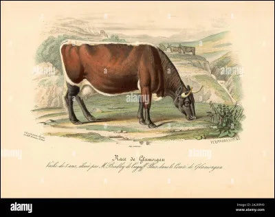 Quelle taille peut-elle faire environ ?