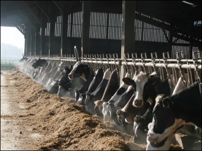 Quel poids fait-elle environ ?