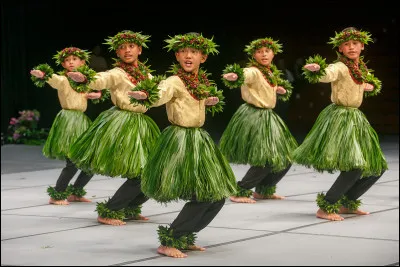 Comment appelle-t-on la danse traditionnelle hawaïenne souvent accompagnée de chants ?