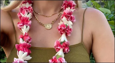 Comment sappelle le collier de fleurs traditionnel offert en signe d'accueil à Hawaï ?