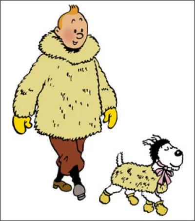 Dans quel album voit-on Tintin et Milou habillés ainsi pour se protéger du froid ?