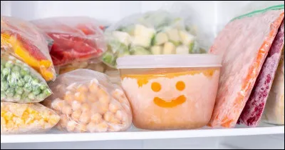 Quel nom anglais donne-t-on au compartiment de congélation d'un réfrigérateur ?