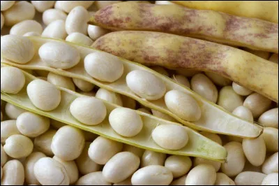 Quelle ville bretonne est réputée pour ses 'Cocos' de couleur blanche ?