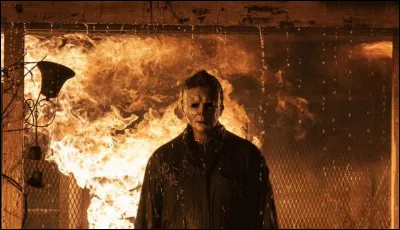 La saga de films "Halloween" est probablement la plus iconique du genre horreur. Son personnage, le tueur Michael Myers est là depuis 1978. Combien y a-t-il eu de films ?