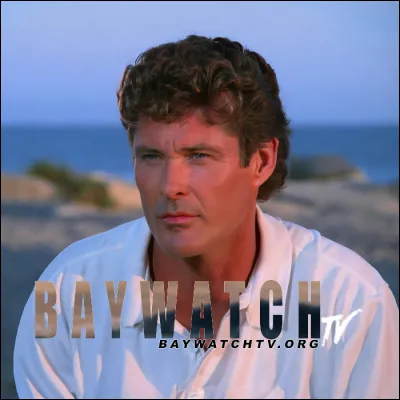 Quelle série a été créée comme suite à "Alerte à Malibu" ?