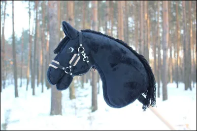 Quel est le prix en moyenne d'un hobby horse ?