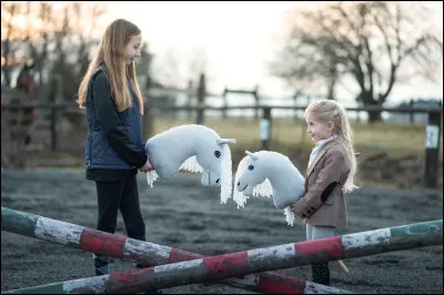 Quelle est l'origine du hobby horse ?