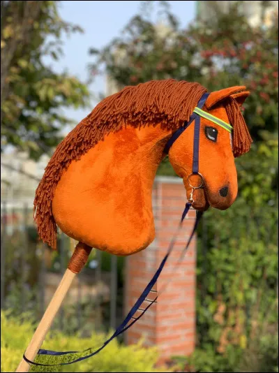 Qu'est-ce que le hobby horse ?