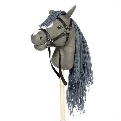 Y a-t-il des compétitions uniquement en Finlande ?