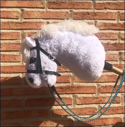 Pour les concours, sommes-nous obligés d'avoir un filet ?