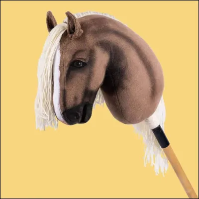 Combien y a-t-il de disciplines en hobby horse ?