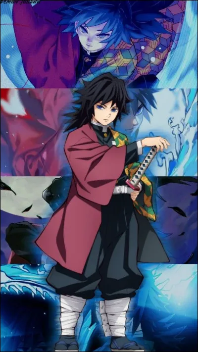 Qui est Giyu Tomioka ?