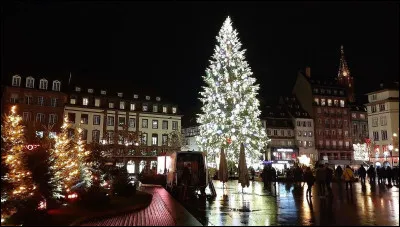Ce sapin est le roi d'un célèbre marché de Noël.