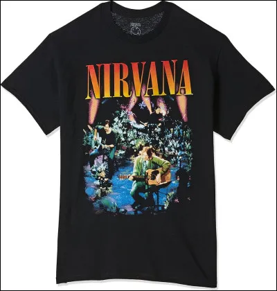 Quel type de musique est popularisé par Nirvana ?