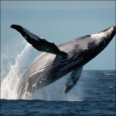 Quel est cet animal ?