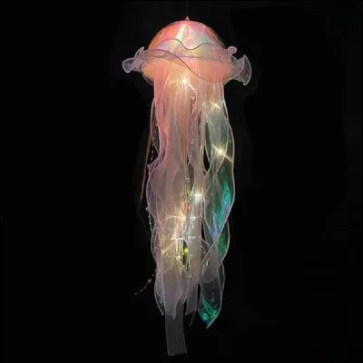 Quel est cet animal ?