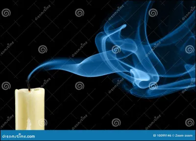 Qui dit a il de Geai de laisser partir Plume de Flamme ? 
(au lac)