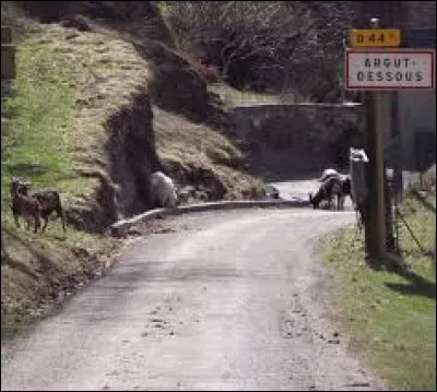 Nous sommes maintenant à l'entrée d'Argut-Dessous. Petit village Haut-Garonnais de 22 habitants, il se situe dans l'ex région ...