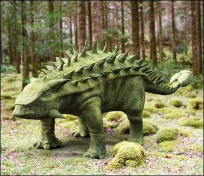 Talarurus présente les caractéristiques typiques de cette famille. Son armure crânienne s’élargissait à l’arrière en deux pointes osseuses, donnant l’impression que ce dinosaure avait des oreilles. Une autre paire de piques sort de ses joues. Il était pourvu d’un bec édenté sur le devant des mâchoires, et d’une faible dentition à l’arrière.