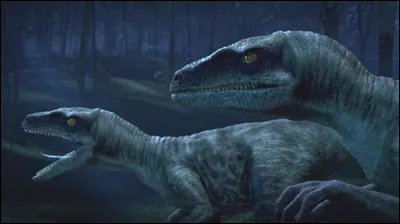 Et pouvait atteindre plus de 2,00 mètres...