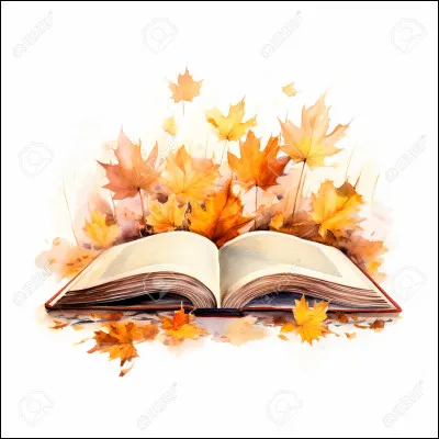 Trouvez quelle figure de style est utilisée dans la phrase "Je descends en bas.".