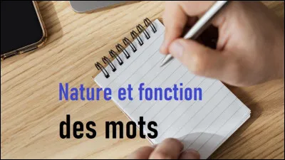 "Mme Rouchart, que vous allez rencontrer, est la nouvelle directrice."

Dans cette phrase, quelle est la fonction de "que vous allez rencontrer" ?