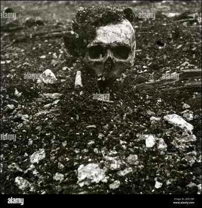 La Premiere Guerre mondiale a commencé en [...] et s'est terminée en [...].