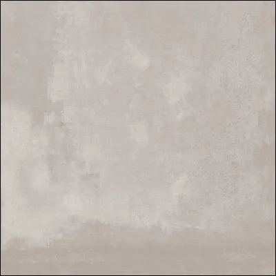 Quel cheval n'est pas gris ?