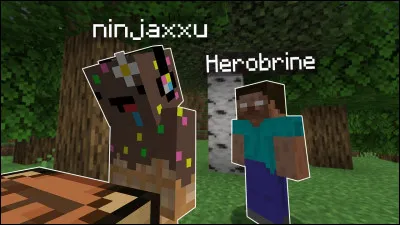 Herobrine est-il du côté de Ninjaxx ou des monstres ?