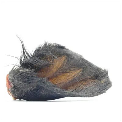 Est-ce que les poils vous dérangent ?