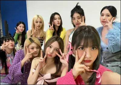 Si tu étais K-pop idole, tu serais ?(2)