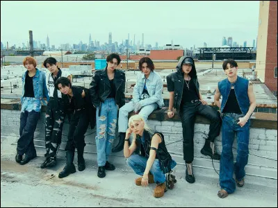 Combien veux-tu de membres ?