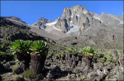 Quel est le nom de ce volcan désormais éteint qui culmine à
 5 199 m, 2e sommet d'Afrique après le Kilimandjaro ?