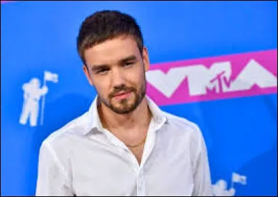 Quel membre des One Direction s'est suicidé ?