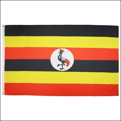 Enfin le plus compliqué, à quel pays appartient ce drapeau ?