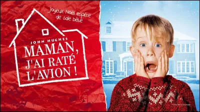 En quelle année est sorti le premier film ?