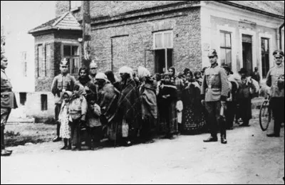 Quelle minorité, en plus des Juifs, a été systématiquement ciblée par le génocide nazi ?