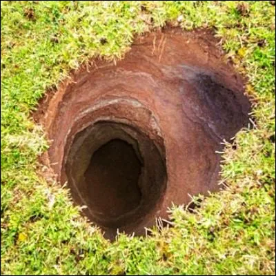 Quel animal, de genre Mus, &eacute;tait d&eacute;fini dans le premier dictionnaire de l�Acad&eacute;mie fran&ccedil;aise comme un "petit animal &agrave; quatre pieds, qui se retire dans les trous des maisons" ?